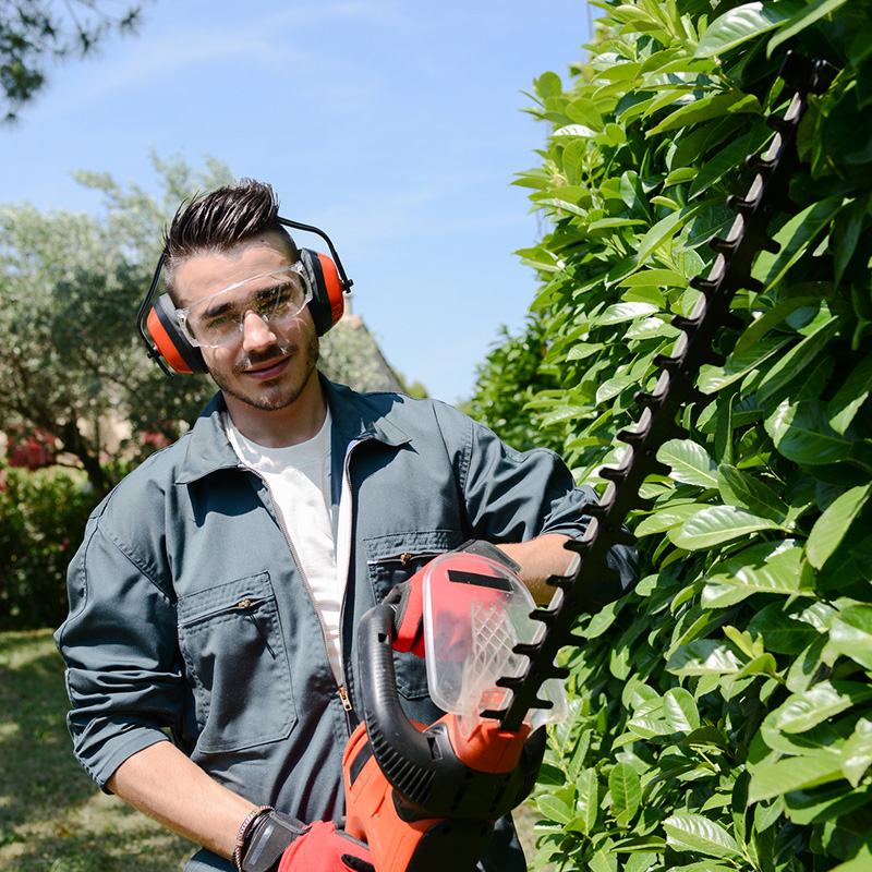 Lawn care and landscaping