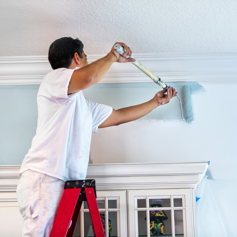 Interior and exterior painting
